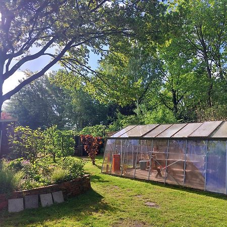 Tenthutje Buitenwedde Exterior foto
